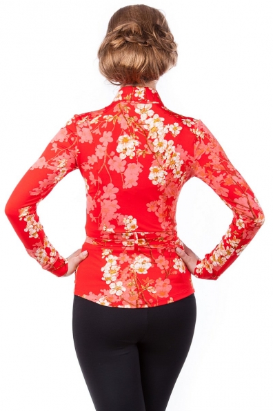 Блуза Пэнни длинный рукав Цвет: Красный