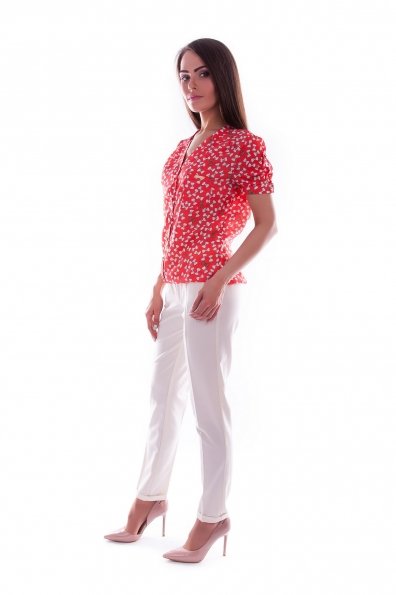 Блуза Кумир шелк принт к/р Цвет: Коралл Бант белый 1