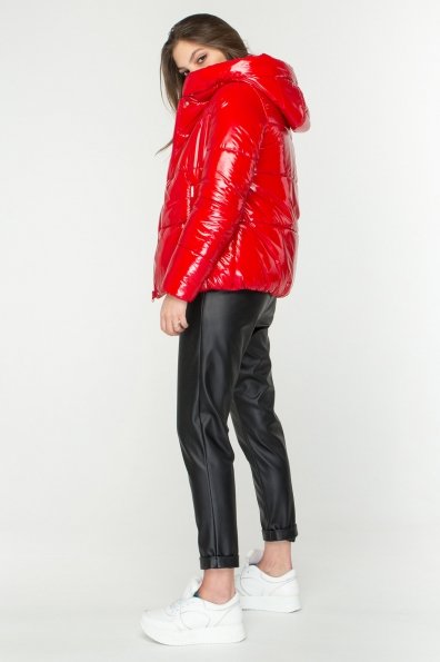 Короткая лаковая куртка Рито 8805 Цвет: Красный