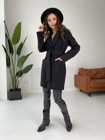 Цвет: Черный - фото №1  Цвет: Черный