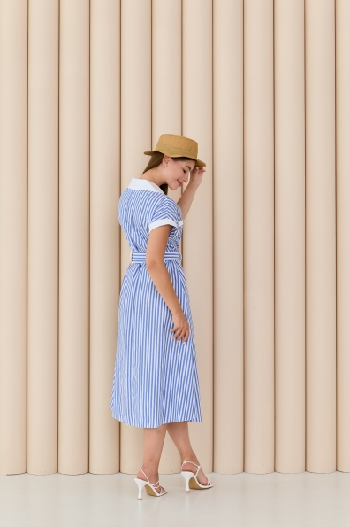 Сукня Марина Міді Бавовна 15832 Цвет: Смужка середня/Синій/білий