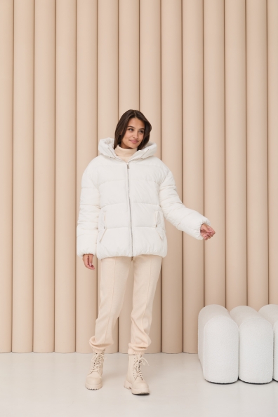 Купити Пуховик "Амстердам" 65 Плащевка Ammy с эко пухом 16173 оптом і в роздріб