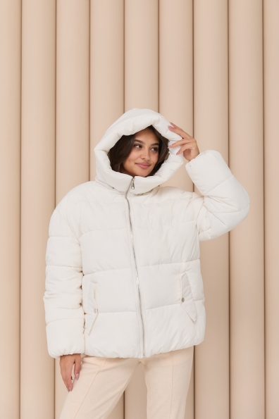 Купити Пуховик "Амстердам" 65 Плащевка Ammy с эко пухом 16173 оптом і в роздріб