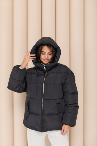 Купити Пуховик "Амстердам" 65 Плащевка Ammy с эко пухом 16173 оптом і в роздріб