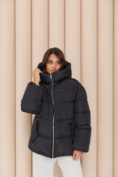 Купити Пуховик "Амстердам" 65 Плащевка Ammy с эко пухом 16173 оптом і в роздріб