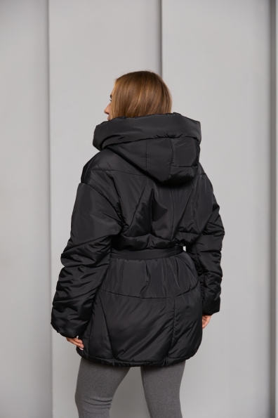 Купити Пуховик "Сідней" 85 плащівка Ammy 16292 оптом і в роздріб