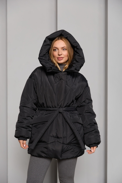 Купити Пуховик "Сідней" 85 плащівка Ammy 16292 оптом і в роздріб
