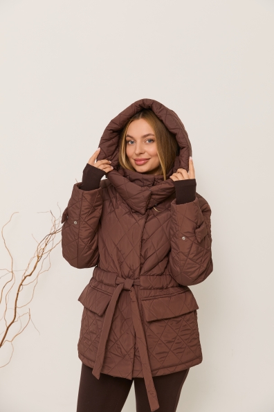 Куртка Нова 70 Плащівка Ammy стьобана ЗИМА 16372 Цвет: Шоколад