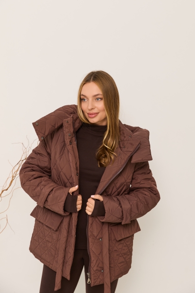Куртка Нова 70 Плащівка Ammy стьобана ЗИМА 16372 Цвет: Шоколад
