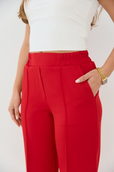 Купити Штани "Метро"  16646 оптом і в роздріб