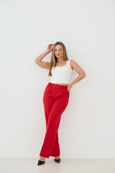 Купити Штани "Метро"  16646 оптом і в роздріб