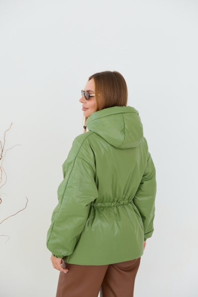 Куртка Бренд 16818 Цвет: Яблуко